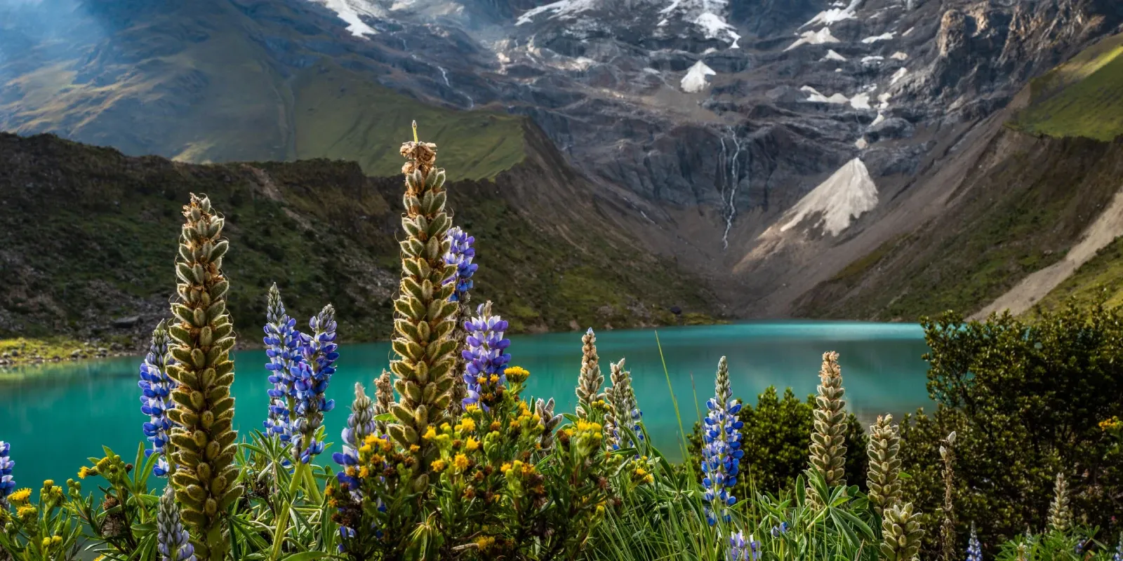 Salkantay Trek - Pachamama Escapes